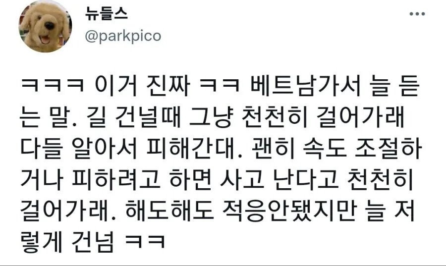 베트남에서 길 건너는 방법
