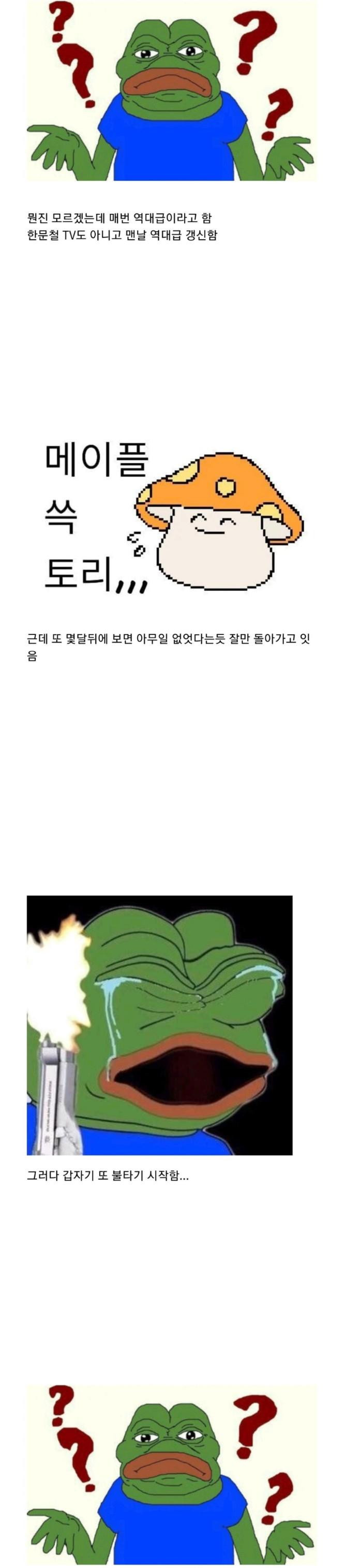 일반인이 바라보는 메이플스토리 논란