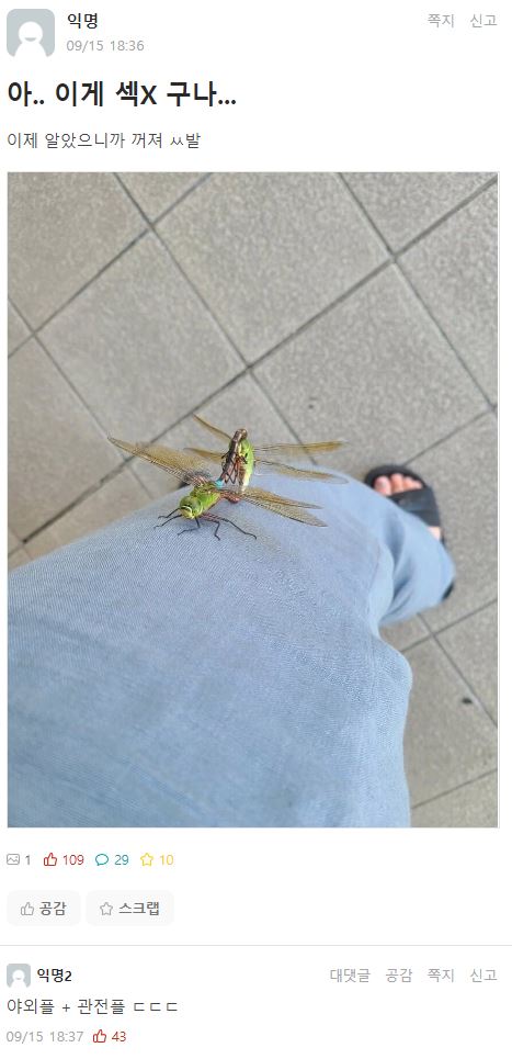 ???: 아... 이게 뀨뀨구나...