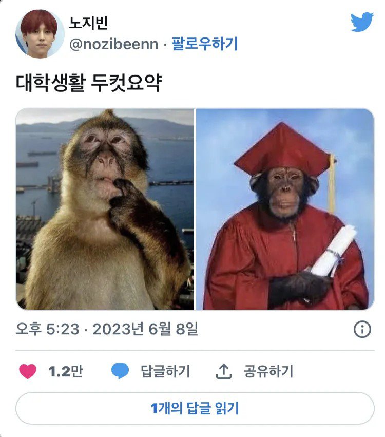 대학생활 두컷 요약