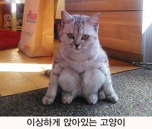 도약 하려고? ㅎㅎ