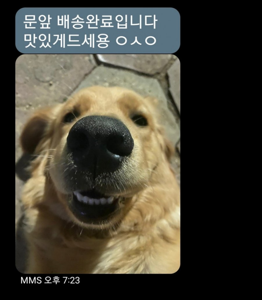 특이한 요즘 배달 문자
