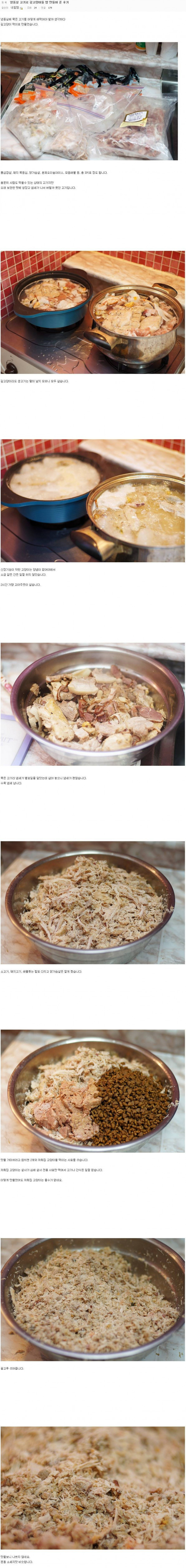 냉동실 고기로 길고양이들 밥 만들어준 후기