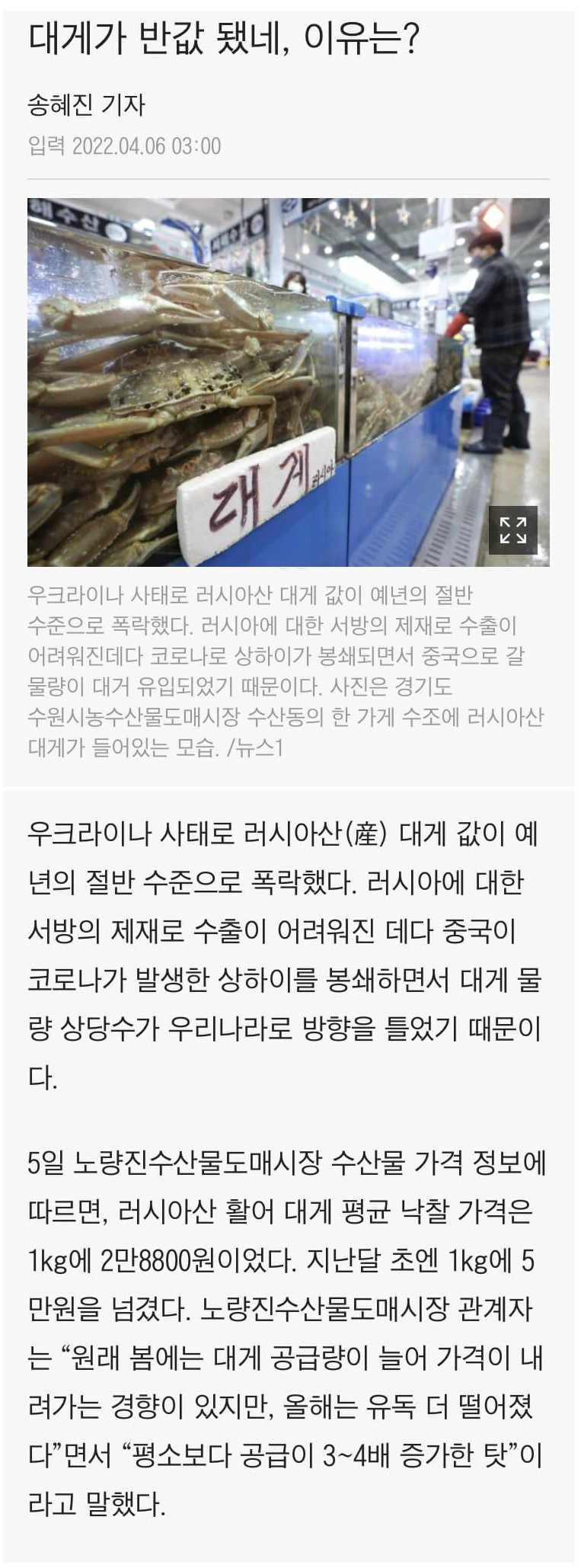 가격이 반토막 났다는 대게