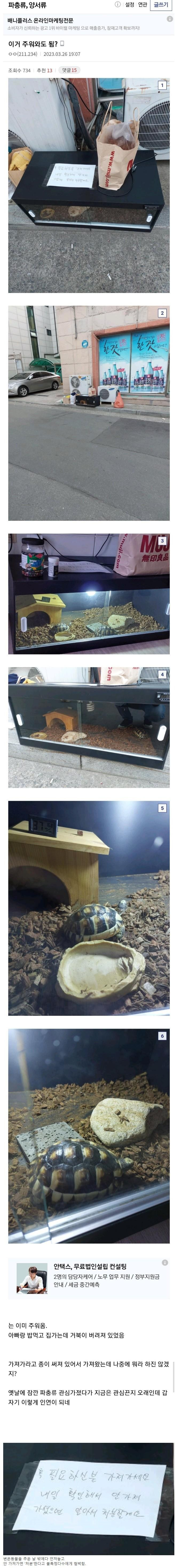 사탄 실직.. 요즘 애완 거북이 유기하는 방법
