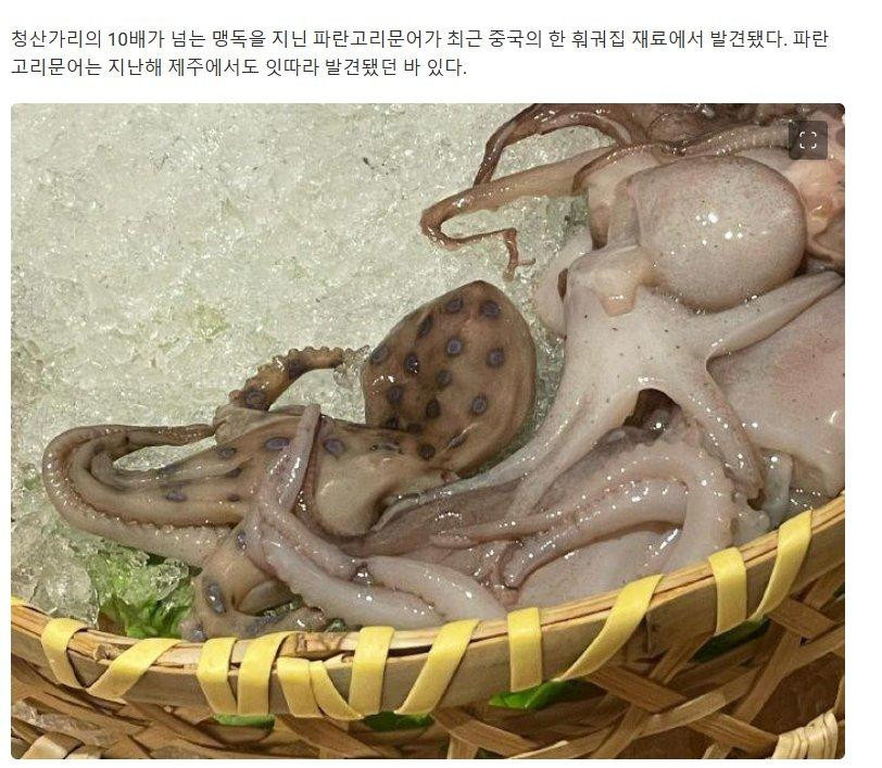 ㄹㅇ 목숨걸고 가야한다는 중국 훠궈집 ㄷㄷㄷ