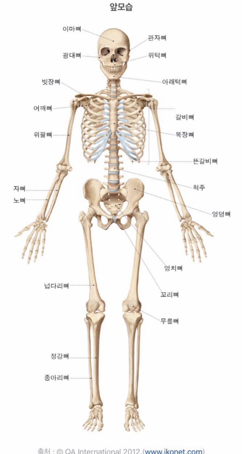 뼈나 인대 등을 다쳐본 사람이라면 대부분 공감하는 것