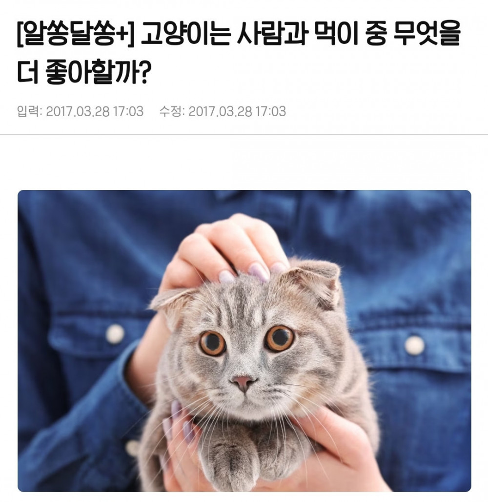 고양이는 먹이보다 주인을 더 좋아한대