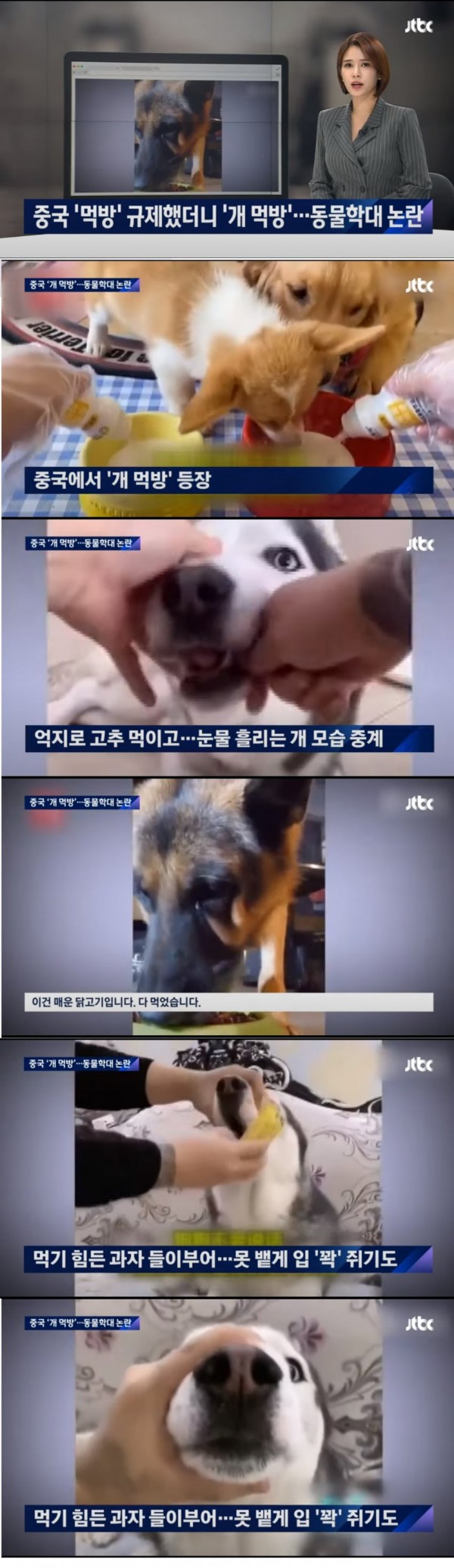 중국 먹방 규제 했더니