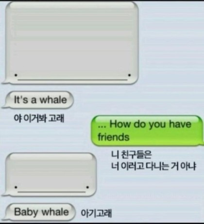 개드립간 우영우 고래 카톡 원본.jpg