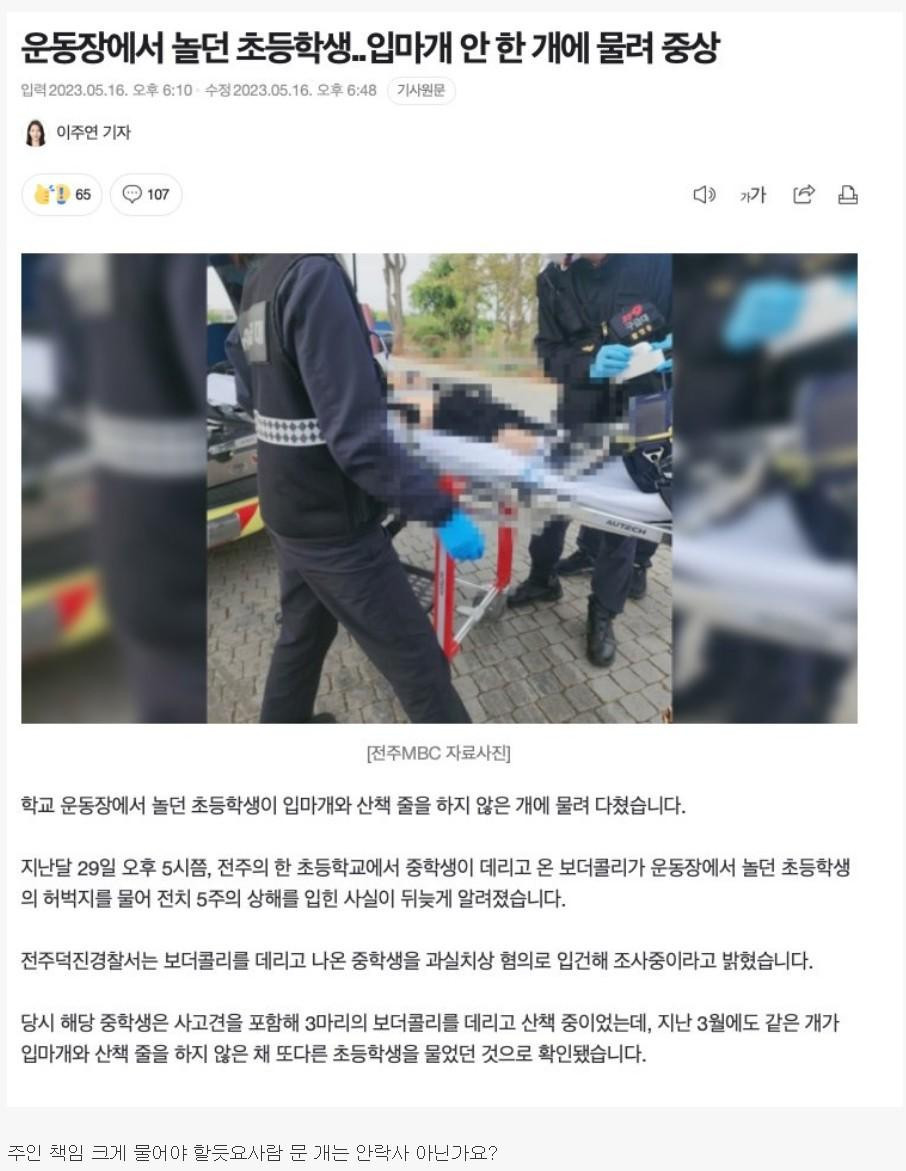 초등학생 개한테 물려 중상