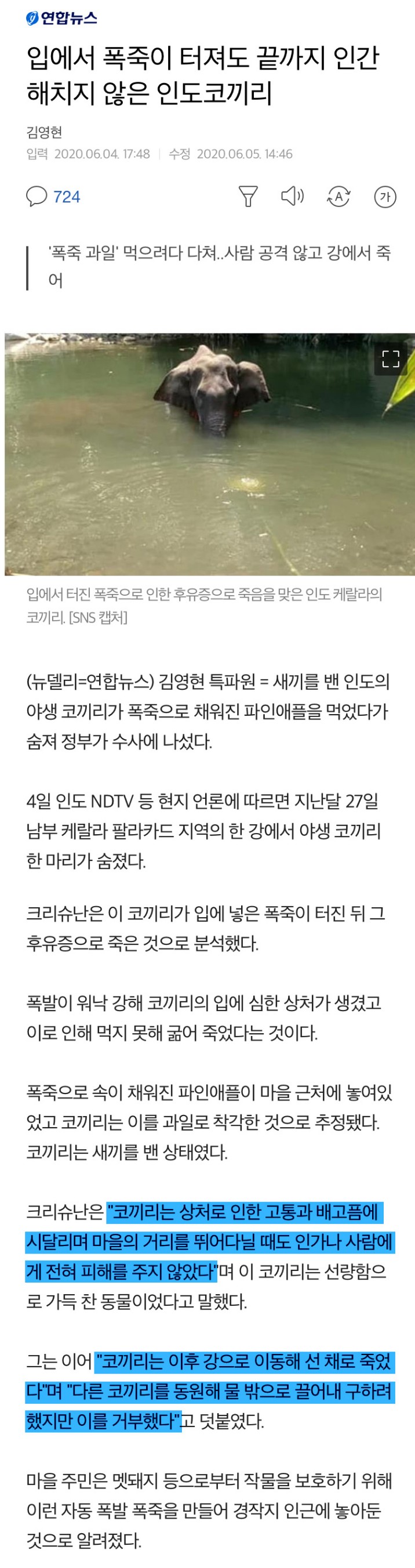 천사코끼리의 죽음
