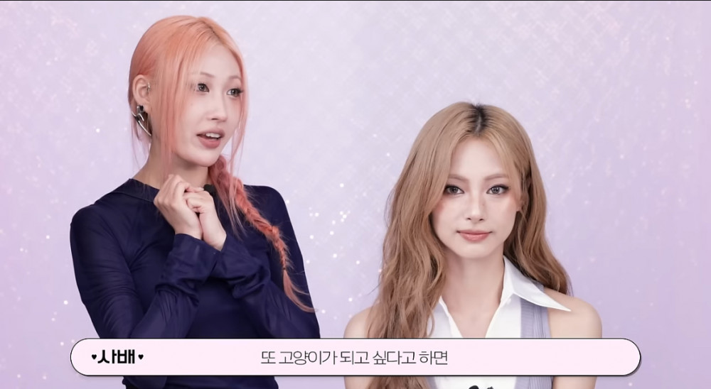 이사배에게 메이크업 받은 쯔위