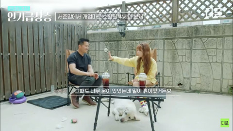 담 밑에 땅굴파서 옆 집 강아지랑 친구 초대한 우리 집 개