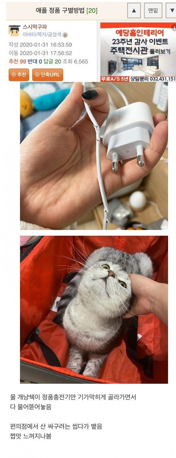 애플 정품 충전기 구별방법