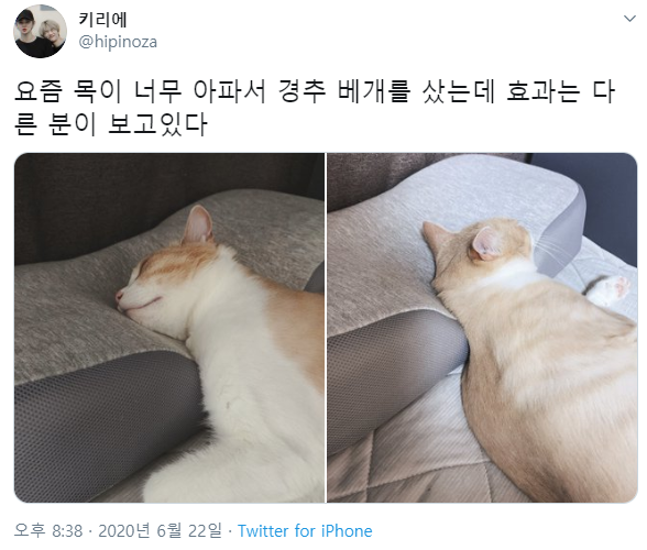 요즘 목이 너무 아파서 경추 베게를 샀는데 효과는 다른 분이 보고있다