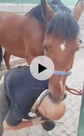 말발굽 청소가 힘든 이유