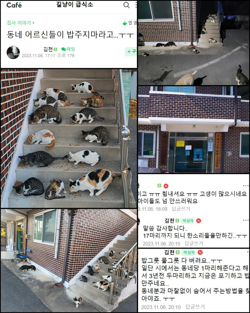 실시간 난리난 AI 캣맘 주작 사건 (트위터 더쿠 등)