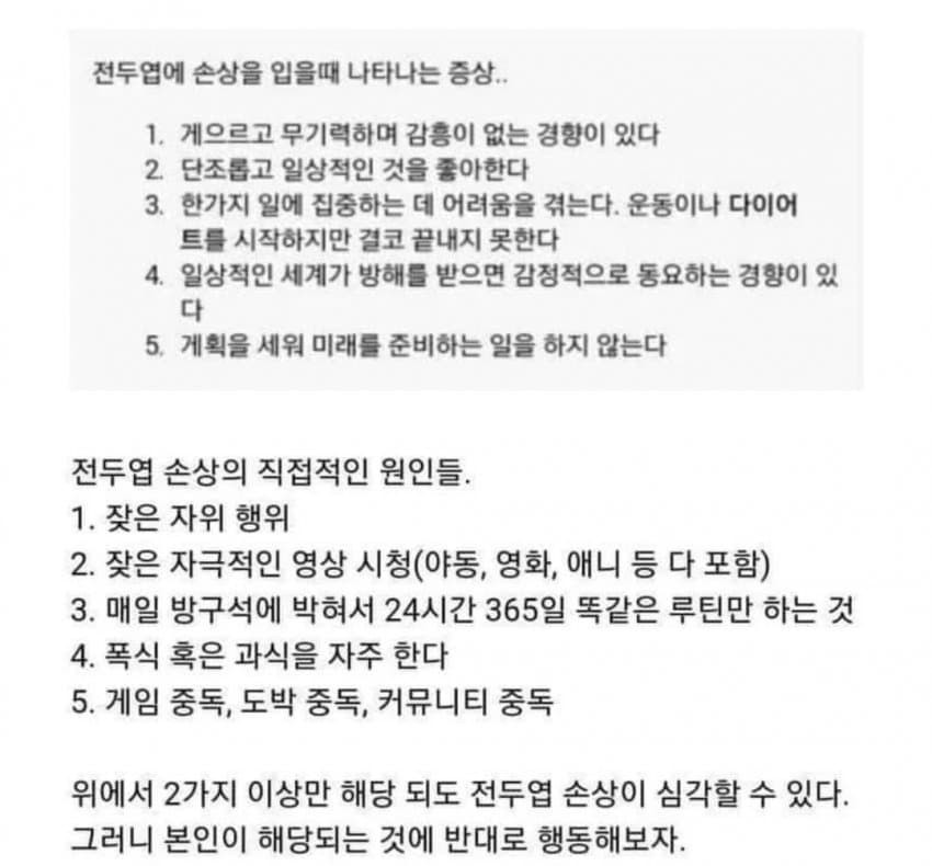 전두엽 손상됐을때 증상전두엽 손상됐을때 증상