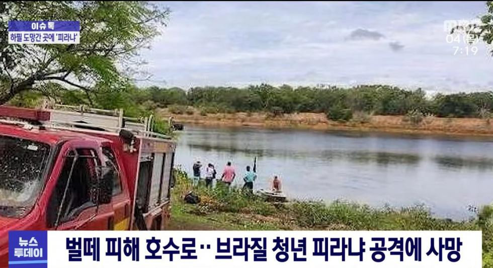 벌떼피해서 호수로 뛰어든청년