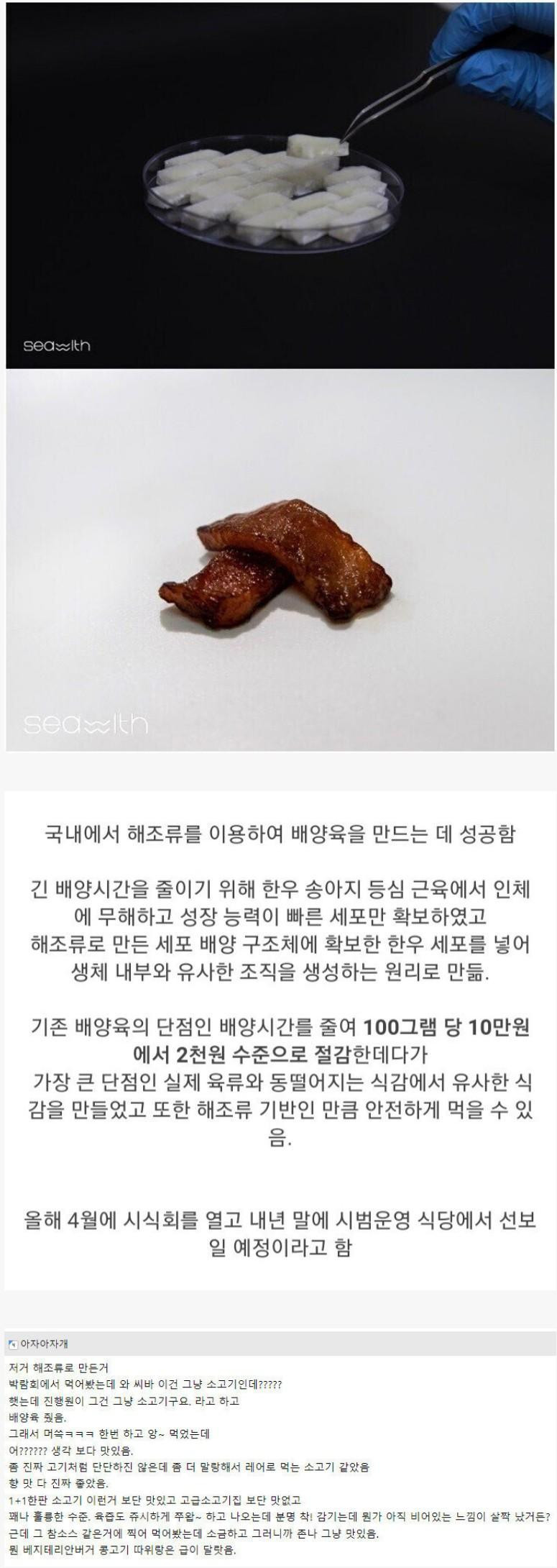 해조류로 만든 배양육을 먹어본 사람의 감상