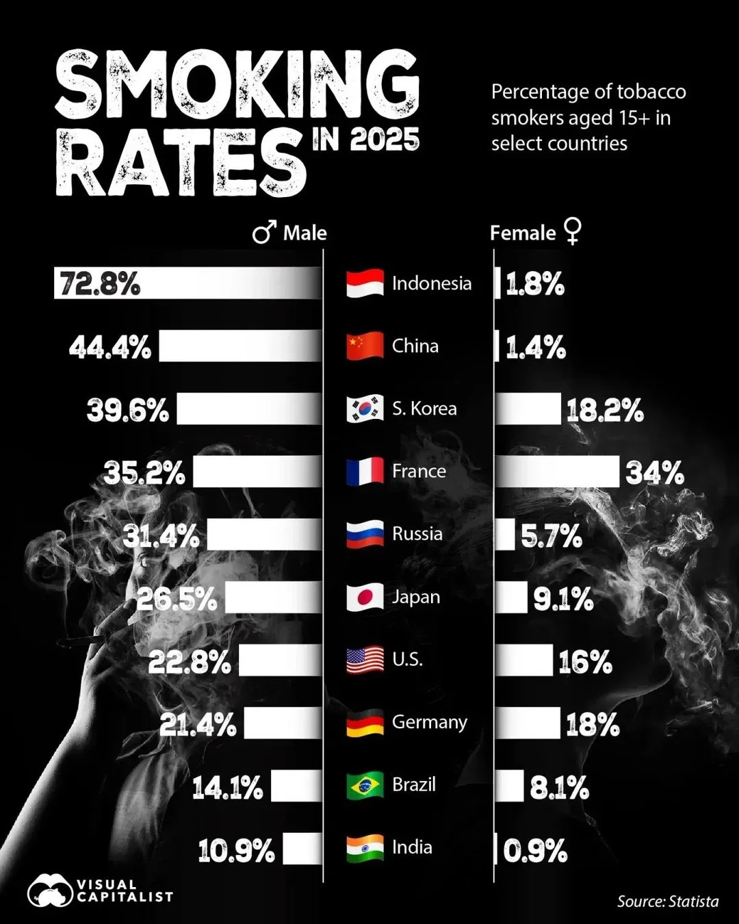 세계 흡연률 순위