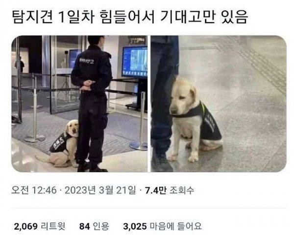 첫출근날 업무량에 멘붕온 직원 적나라한 표정