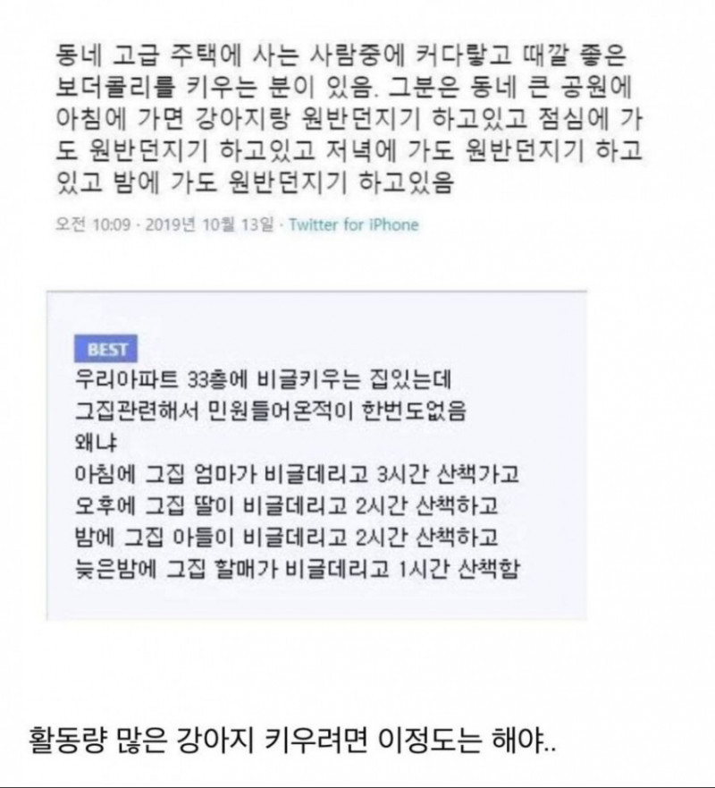 아파트 33층에서 비글 키우면서 민원 안받는 방법