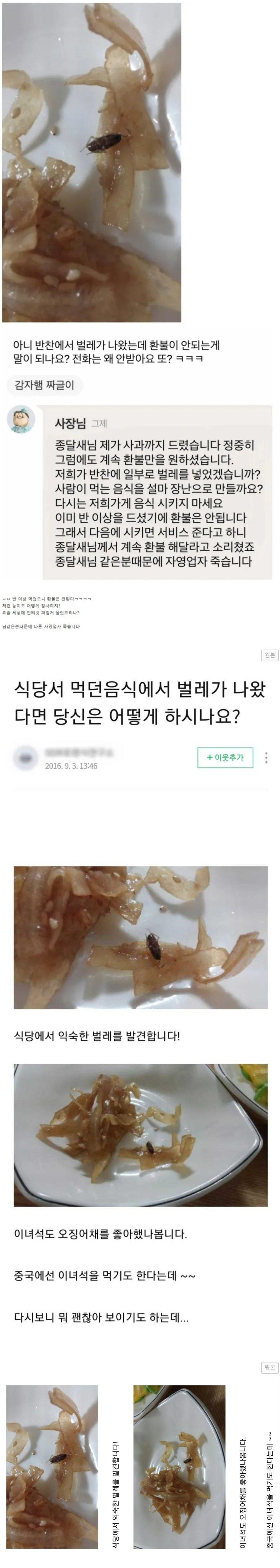 반찬에서 벌레나온 식당 반전