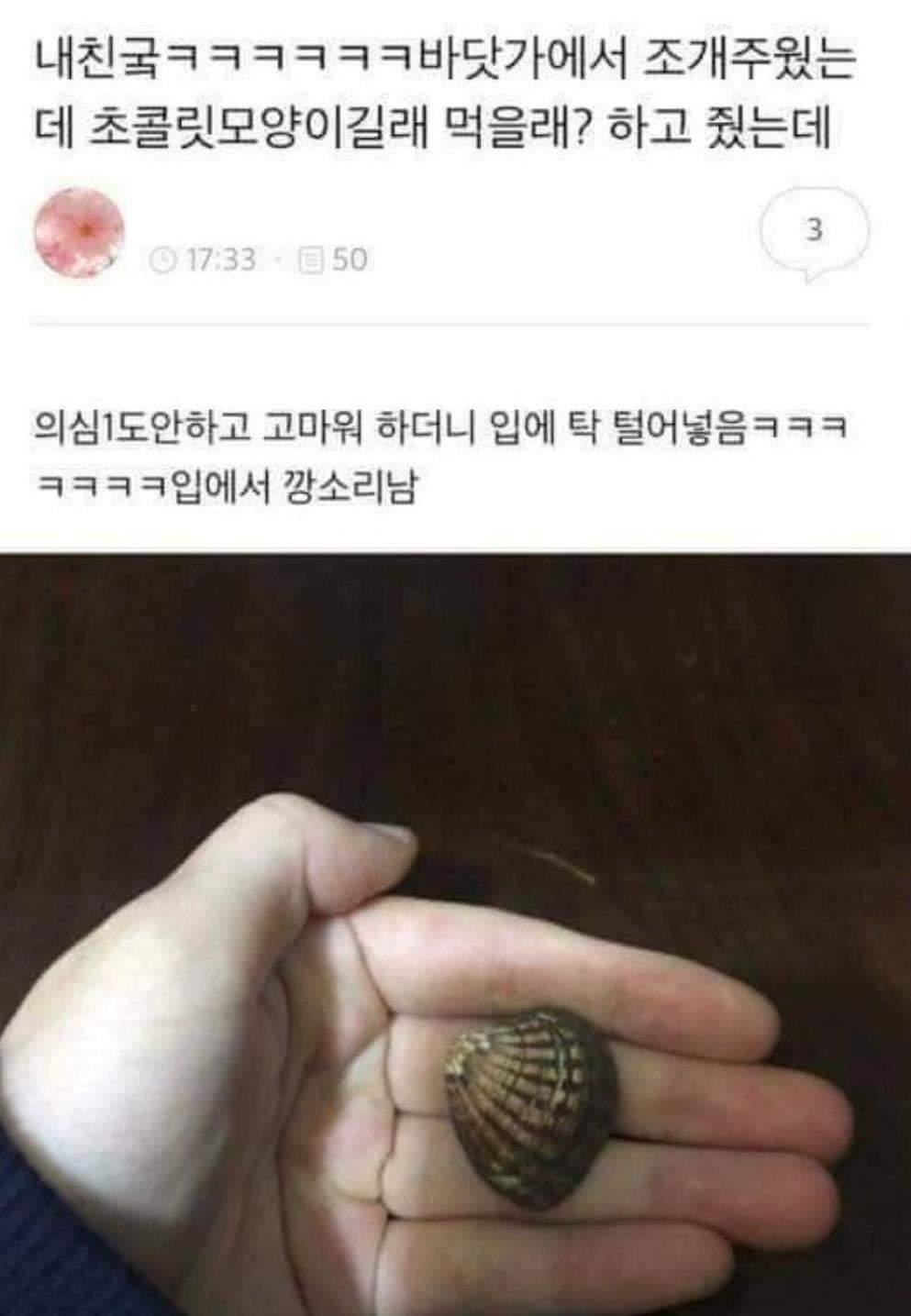 주운 조개가 초콜릿 모양이길래