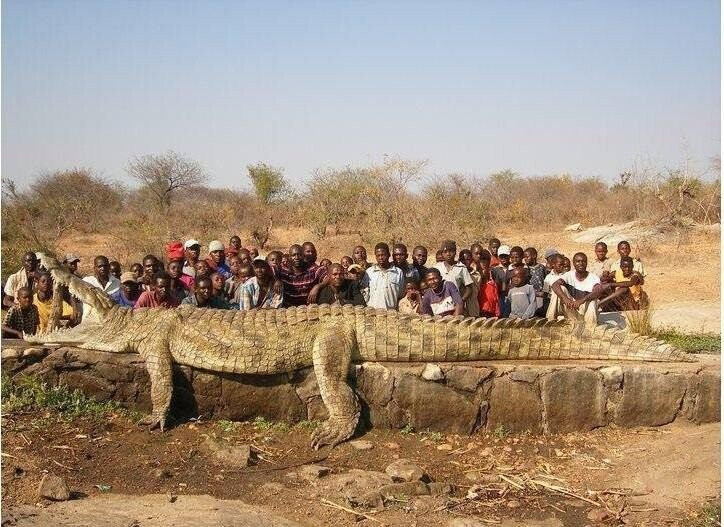 스케일 지려버리는 아프리카 수학여행 단체사진