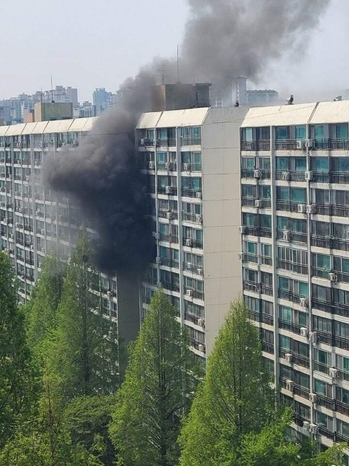 강남 은마아파트 불남