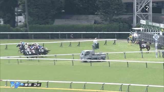 일본 경마대회 근황.gif