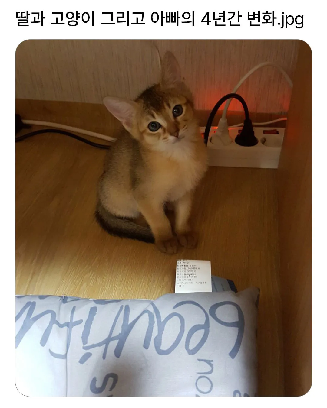 딸과 고양이 그리고 아빠의 4년간 변화