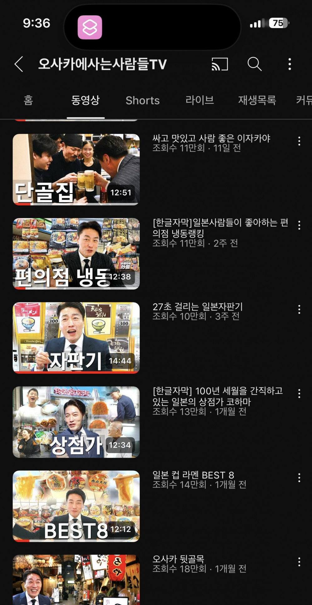 오사카에 사는 사람들 유튜브 근황