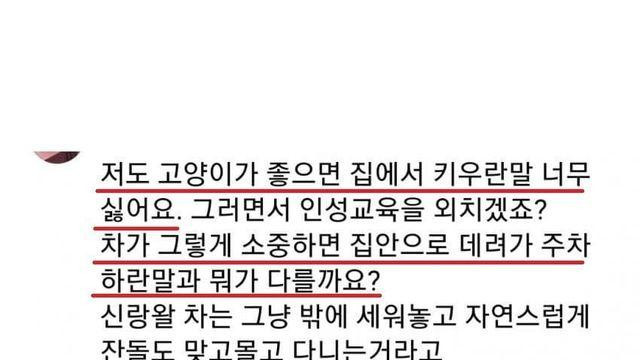 캣맘들의 존나 어이없는 사고방식