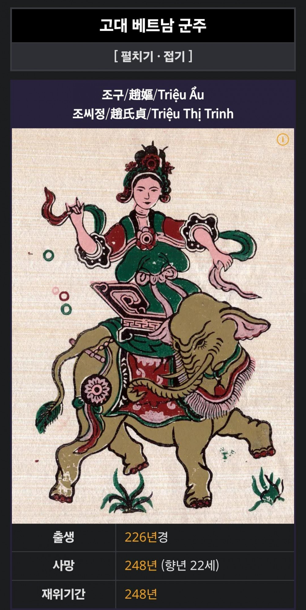 삼국지에 나오는 코끼리 탄 거유 여전사