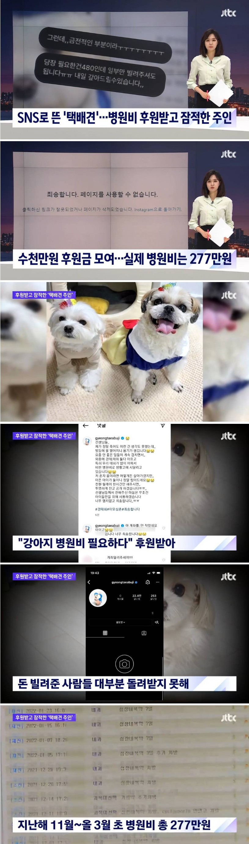택배견 경태희 실제 병원비
