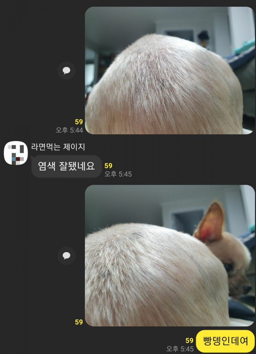함부로 남의 머리 평가하면 안되는 이유.jpg