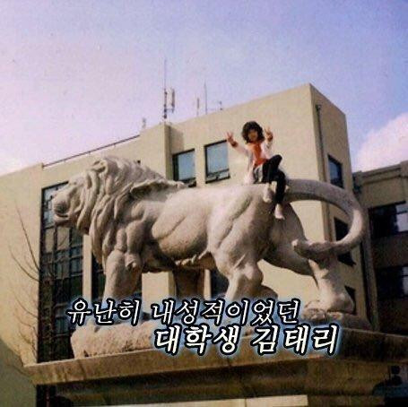 김태리 대체 여기 어떻게 올라갔을까요?