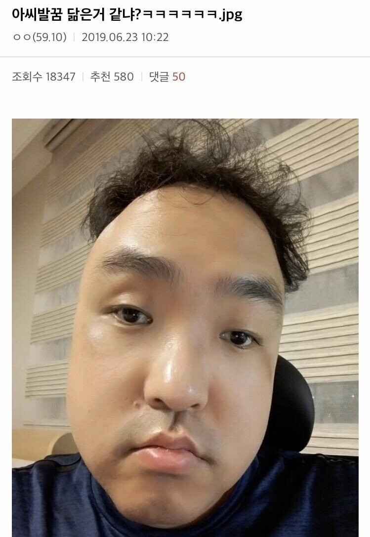 인터넷 닮은꼴 레전드